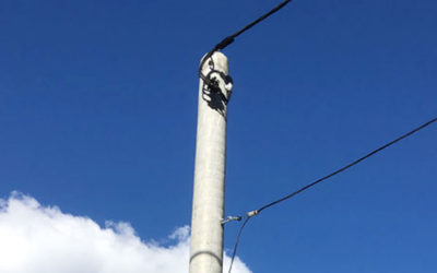 Protect Your Power with Titan Poles