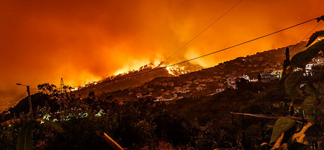 Why Bushfire Proof Power Poles Are a Sound Investment