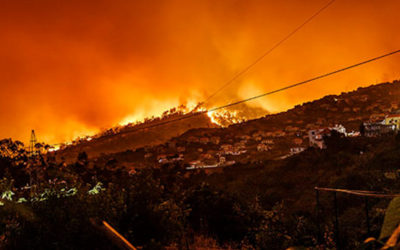 Why Bushfire Proof Power Poles Are a Sound Investment